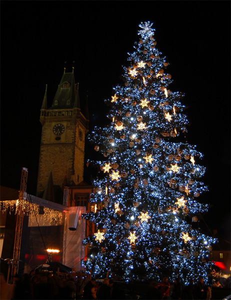 Christmas tree in Prague Old Town Square