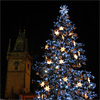 Christmas tree in Prague Old Town Square