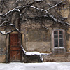 Combination of tree and building in Prague Strahov Monastery courtyard